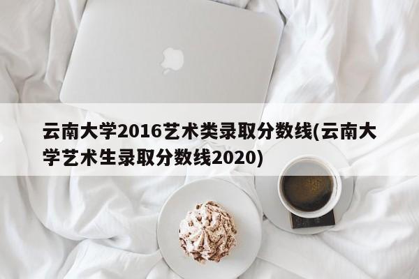 云南大学2016艺术类录取分数线(云南大学艺术生录取分数线2020)